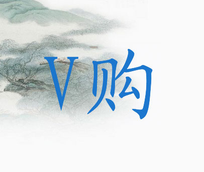 V 购