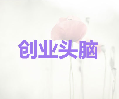 创业头脑