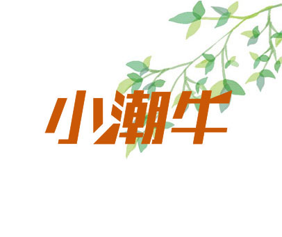 小潮牛
