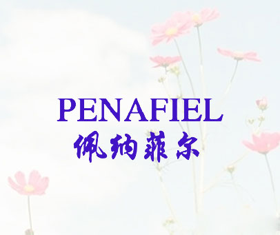 佩纳菲尔  PENAFIEL