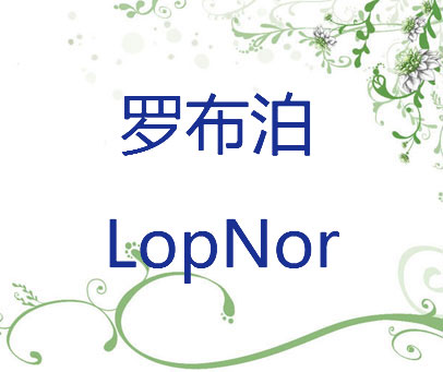 罗布泊 LOPNOR
