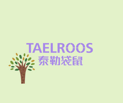 泰勒袋鼠 TAELROOS