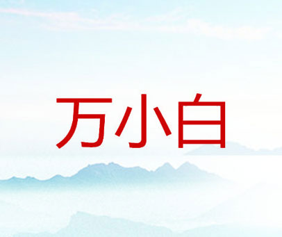 万小白