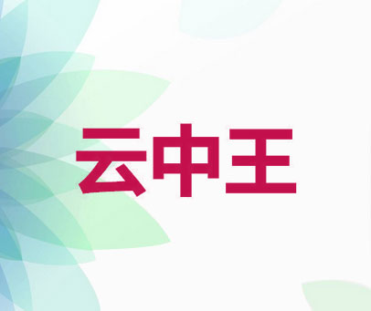 云中王