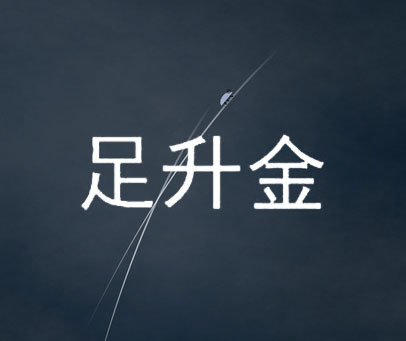 足升金