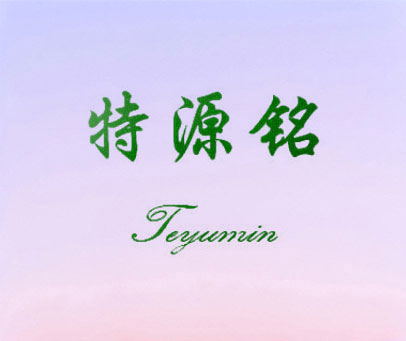 特源铭 TEYUMIN