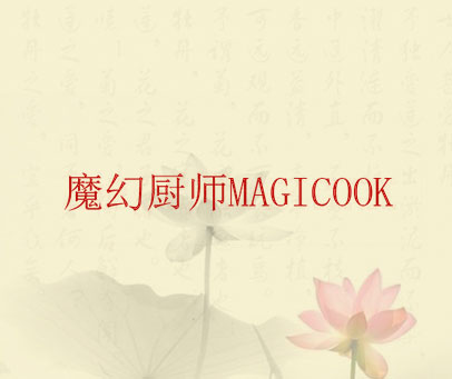 魔幻厨师 MAGICOOK