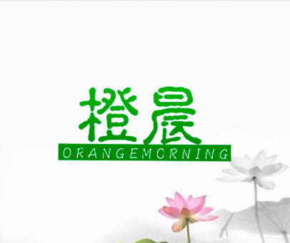 橙晨 ORANGEMORNING