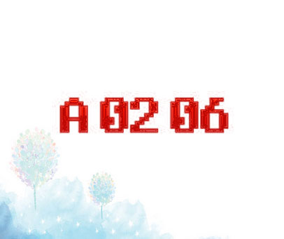 A 02 06