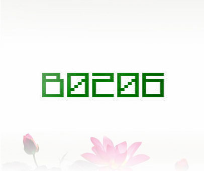 B0206