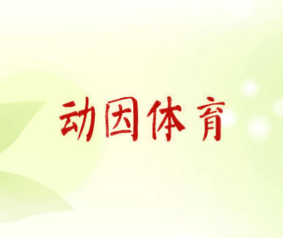动因体育