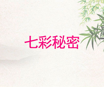七彩秘密
