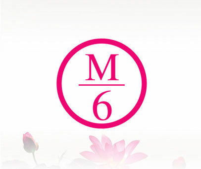 M 6
