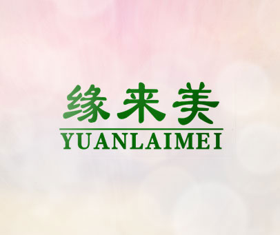缘来美