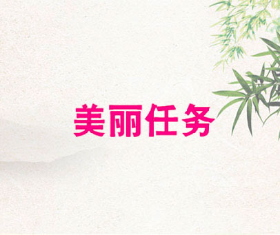 美丽任务