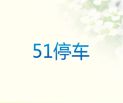 51 停车