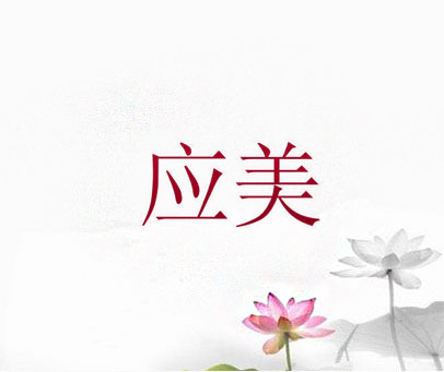 应美