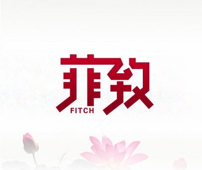 菲致  FITCH