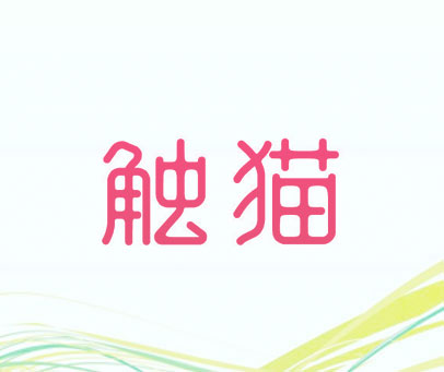 触猫