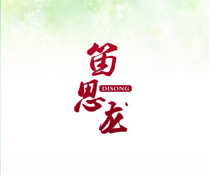 笛思龙 DISONG