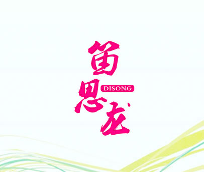 笛思龙 DISONG