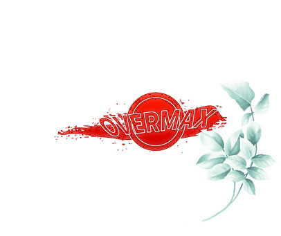 OVERMAX