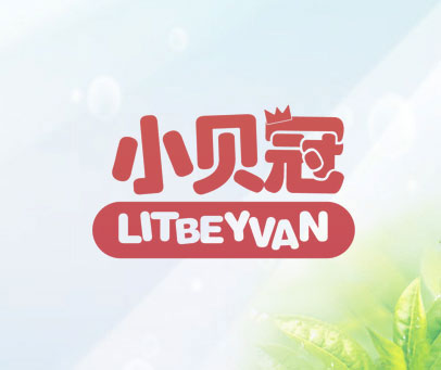 小贝冠   LITBEYVAN