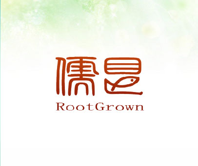 儒艮 ROOTGROWN