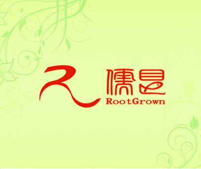 儒艮 ROOTGROWN