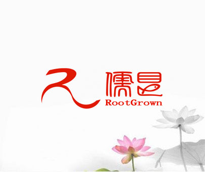 儒艮 ROOTGROWN