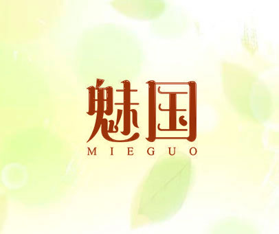 魅国 MIEGUO