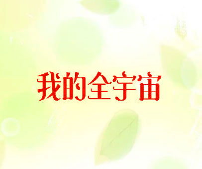 我的全宇宙