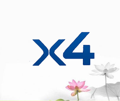 X 4