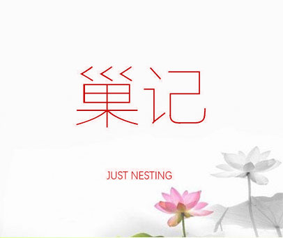 巢记 JUST NESTING