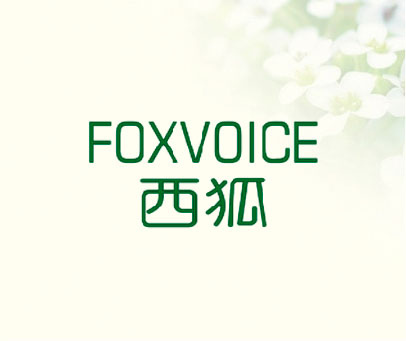 西狐 FOXVOICE