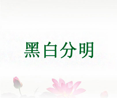 黑白分明