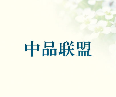 中品联盟