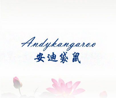 安迪袋鼠 ANDYKANGAROO