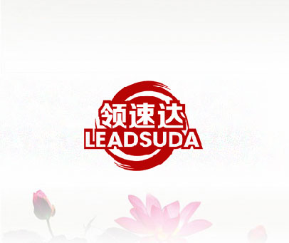 领速达 LEADSUDA