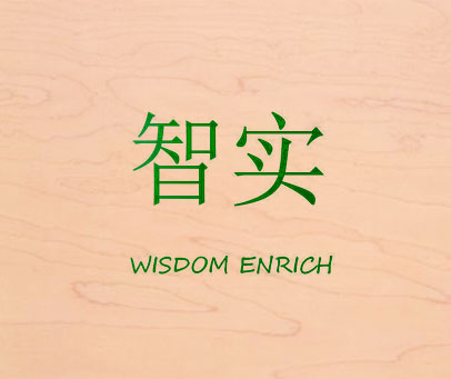 智实 WISDOM ENRICH