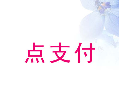 点支付