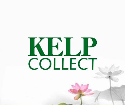 KELP COLLECT