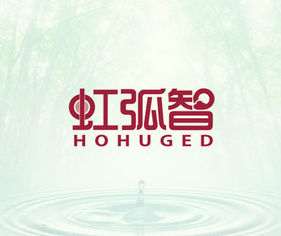 虹弧智 HOHUGED