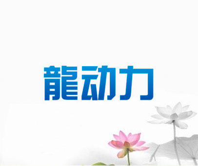 龙动力