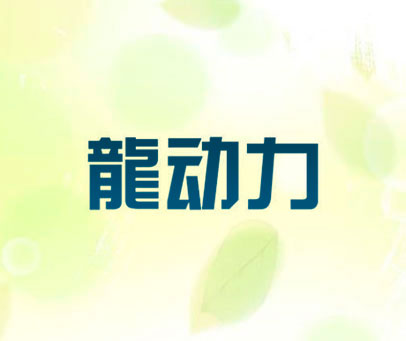 龙动力
