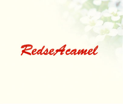 REDSEACAMEL
