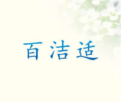 百洁适