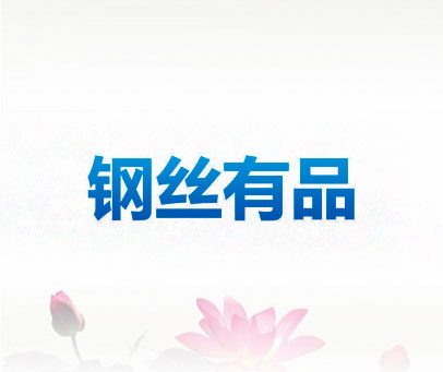 钢丝有品