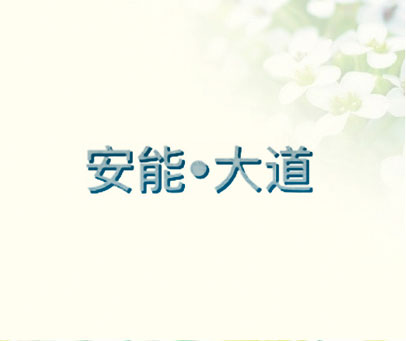 安能·大道