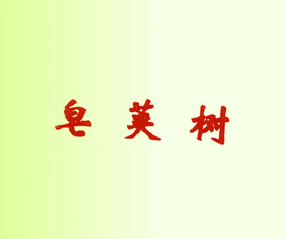 皂荚树